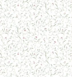 Acufactum Fijne Klimplanten 3523-970