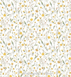 Acufactum Weidebloemen3523-905