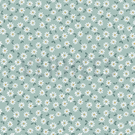 Jersey GOTS Sweet Daisy - Mint Kinderjersey OKO Tex Nieuw!