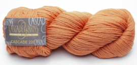 Cascade 220 / Copper no. 1068 /100 gram skein