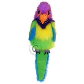 Plum-Headed Parakeet handpop