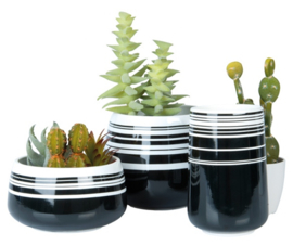 Cactuspot Contrast zwart wit