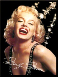 Magneet Marilyn Monroe