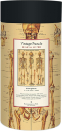 Cavallini - Puzzle Skeletal System