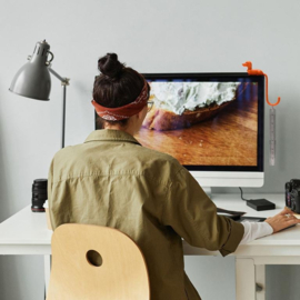 Hook Rusty the Dachshund