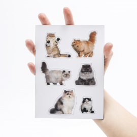 Fat Cat Magnets