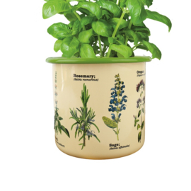 Bloempot Herbs