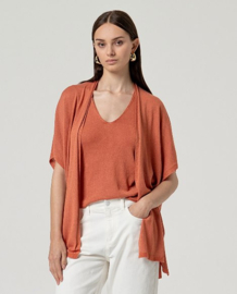 Surkana - Short Sleeved Cardigan with lurex