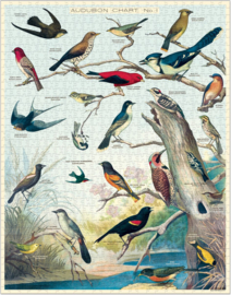Cavallini - Poster Birds Audubon Chart n°1