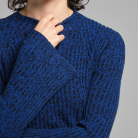 Dedicated - Top Fide Blue