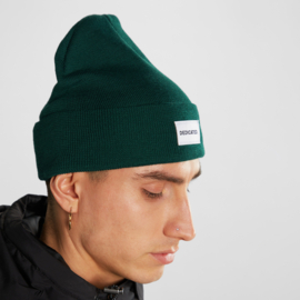 Dedicated - Kiruna Beanie trekking green