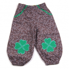 Clover pants -2y