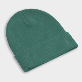 Dedicated - Kiruna Beanie Forest Green