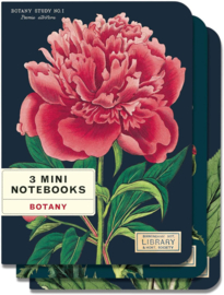 Cavallini - Mini Notebook Set Botany
