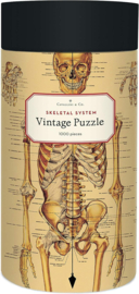 Cavallini - Puzzle Skeletal System