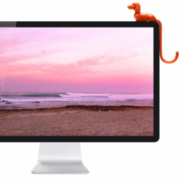 Hook Rusty the Dachshund