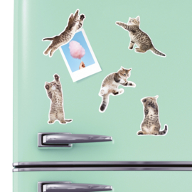 Action Cat Magnets