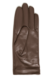 Ichi - Marinela Gloves chicory