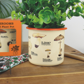 Bloempot Mushrooms