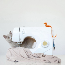 Hook Rusty the Dachshund