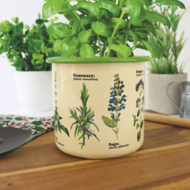 Bloempot Herbs