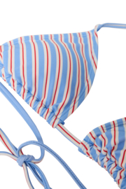 Ichi - Kila Bikini Top
