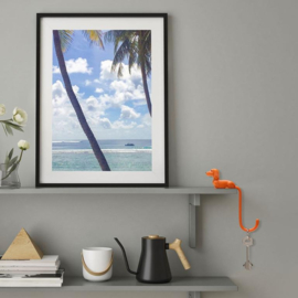 Hook Rusty the Dachshund