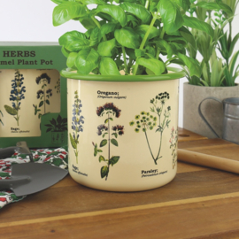 Bloempot Herbs