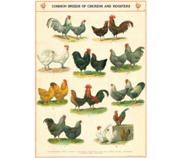 Cavallini - Vintage Poster Chickens and Roosters