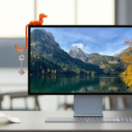 Hook Rusty the Dachshund