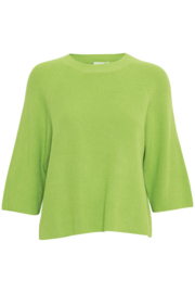 Ichi - Boston Sweater Parrot Green