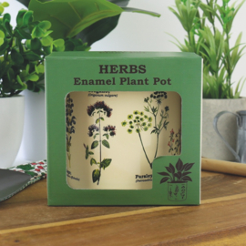 Bloempot Herbs