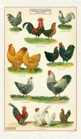Cavallini - Kitchen Towel Chickens