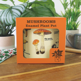 Bloempot Mushrooms