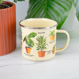 Mok Houseplants