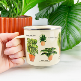Mok Houseplants
