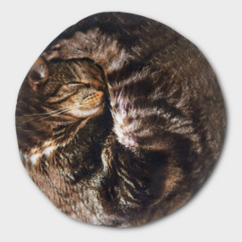 Cat Hot Water Bottle