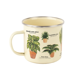 Mok Houseplants