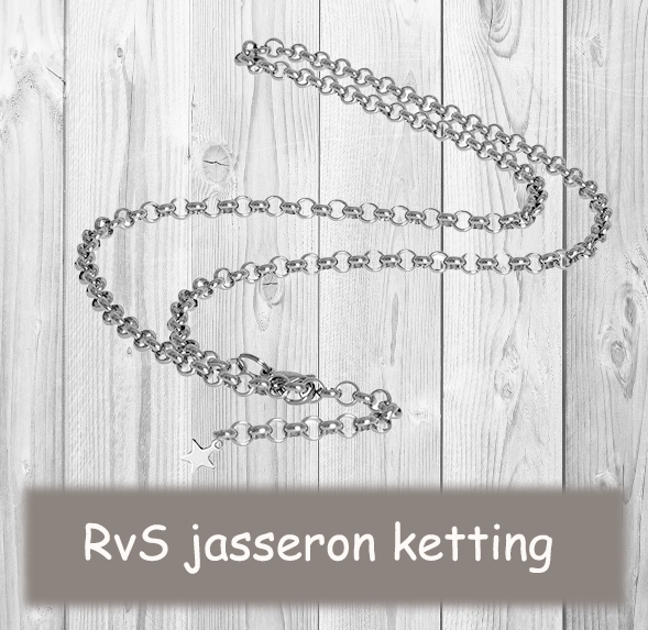 RvS jasseron ketting