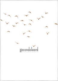A6 kaart | Gecondoleerd