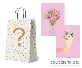 SURPRISE TAS - 2