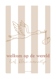 Kaart | A6 | Welkom op de wereld, lief, klein mannetje