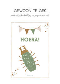 Kaart | A6 | hoera! | insect
