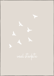 Kaart | A6 | Veel sterkte! (1)