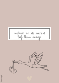 Kaart | A6 | nude april | Welkom op de wereld, lief klein meisje