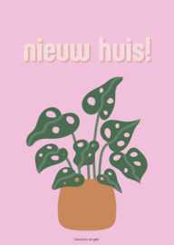 Colourful orange | A6 | Nieuw huis!