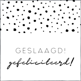 Geslaagd!