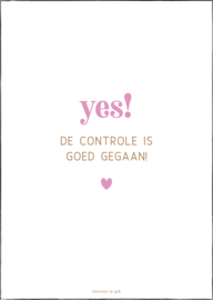 Kaart | A6 | Yes! de controle is goed gegaan!