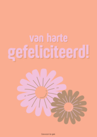 Colourful orange | A6 | van harte gefeliciteerd!