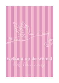Kaart | A6 | Welkom op de wereld, lief, klein meisje